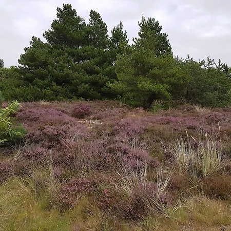 Pet-friendly Romo Getaway Διαμέρισμα *