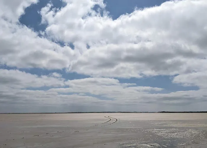 Pet-friendly Romo Getaway Sønderby