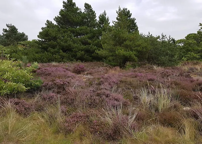 Pet-friendly Romo Getaway Apartment *